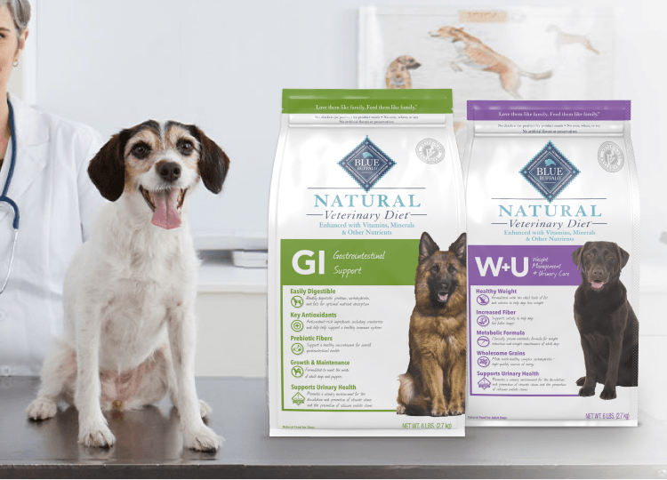 A veterinarian stands beside a dog and Natural Veterinary Diet pet food on an exam table.
