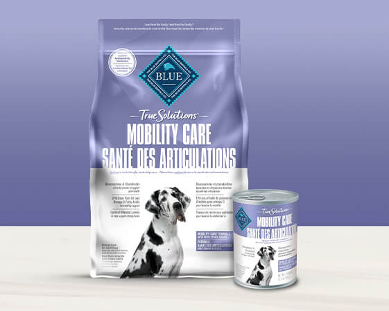 blue true solutions mobility care dog recipe