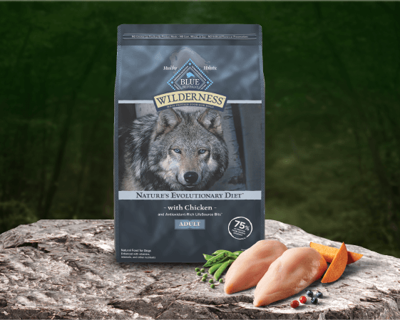 Blue Wilderness adult chicken dog food bag featuring a wolf image, displayed on a rock with raw chicken, vegetables, and a forest background.