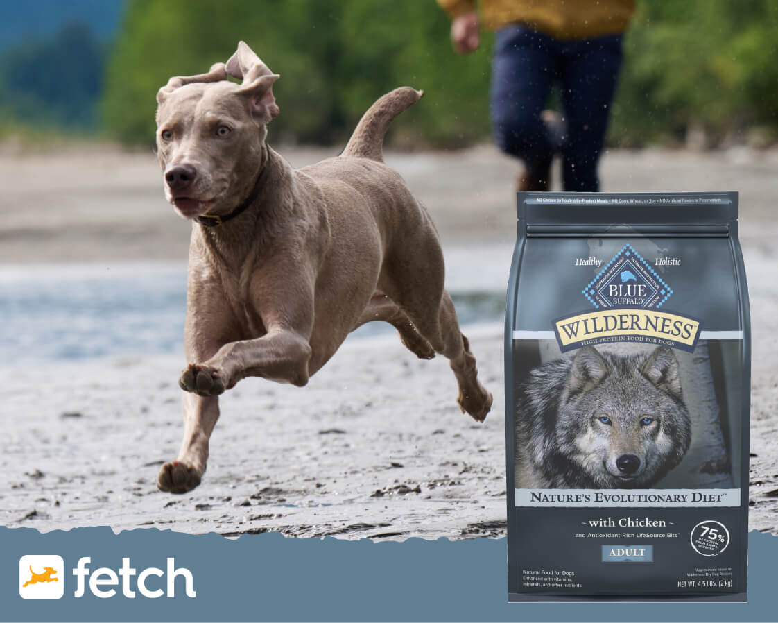A gray dog is running with purpose on a muddy shore. A bag of BLUE Wilderness dry dog food is in the right corner.