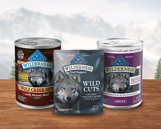 Three Blue Wilderness pet food products displayed: a can of Wolf Creek Stew, Wild Cuts pouch, and Adult chicken grill can.