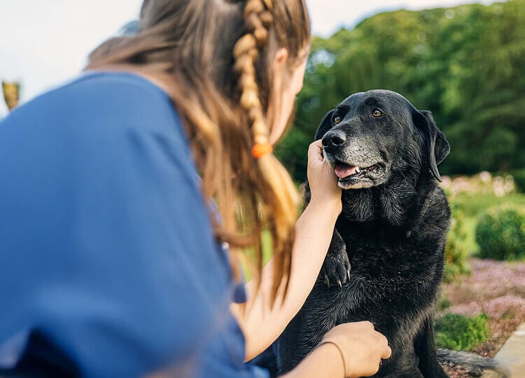 A black Lab is soaking in pets from their Pet Parent. They’re both outside, sitting on lush green grass.