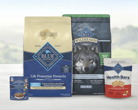 Blue Buffalo Life Protection Formula Adult Chicken & Brown Rice dog food bag with Wilderness wolf bag, Health Bars treats, and a wet food can