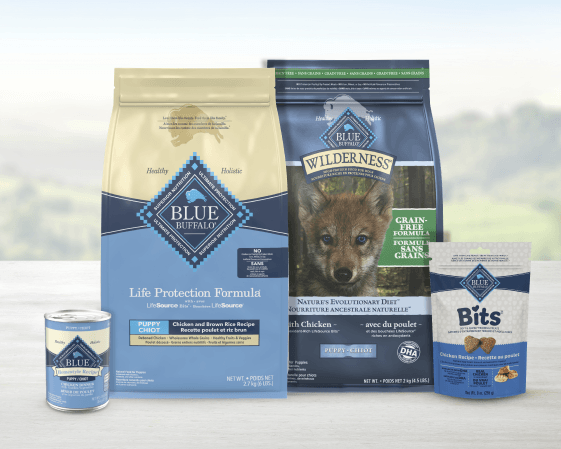 Blue Buffalo puppy food lineup: Life Protection Formula Chicken & Brown Rice bag, Wilderness Grain-Free chicken bag, Bits treats, and a can