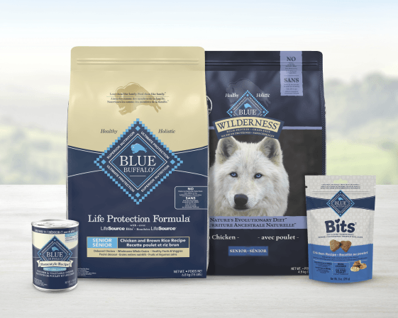 Blue Buffalo Life Protection Formula Senior Chicken & Brown Rice dog food bag, Wilderness Chicken bag, Bits treats box, and canned food