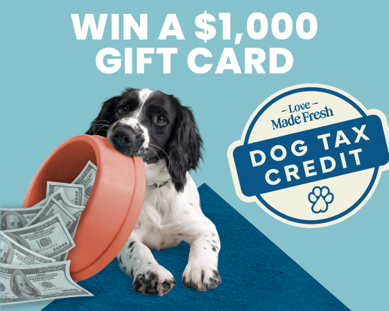 A black and white dog is holding a dog dish overflowing with money and text that reads, "Dog Tax Credit."