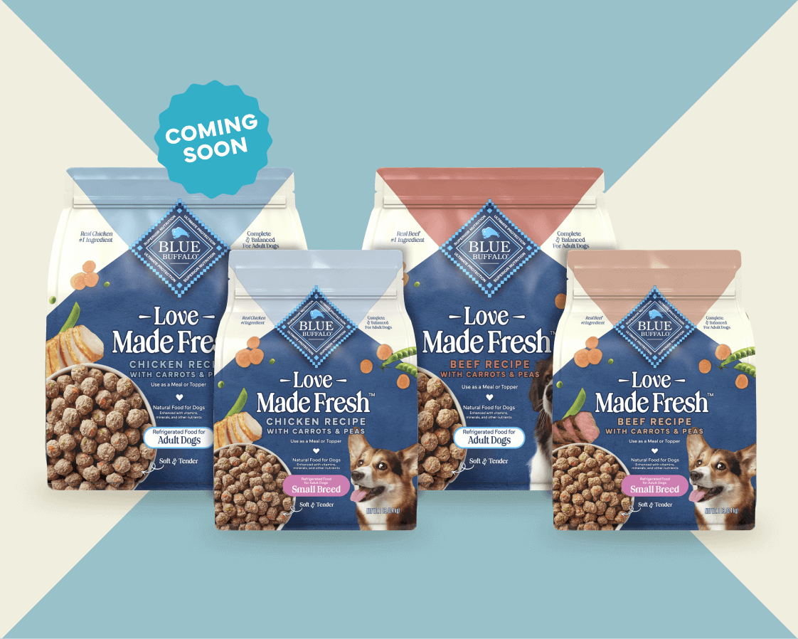 Blue Buffalo unveils the new “Love Made Fresh” line—shown on a fun, colorful backdrop.