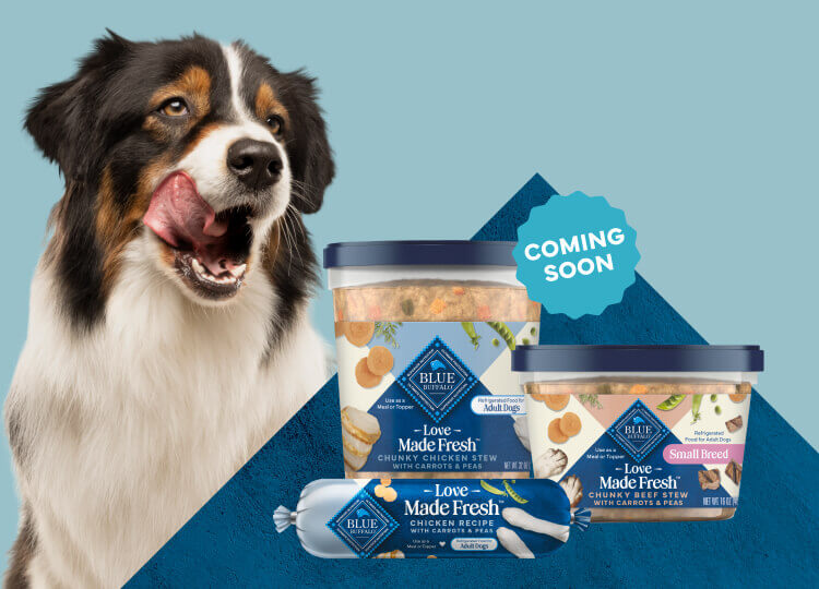 A black-and-brown dog is licking its mouth next to 2 tubs and 1 roll of Love Made Fresh refrigerated dog food