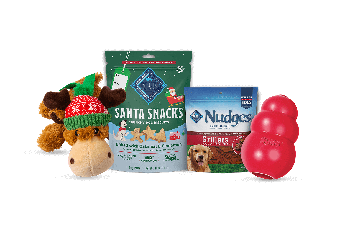 Two bags of BLUE Santa Snacks and Nudges dog treats and two KONG toys.
