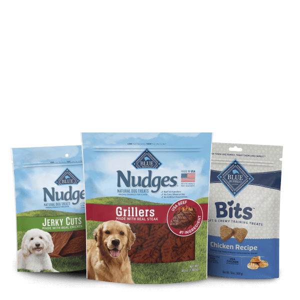 BLUE Dog Treats