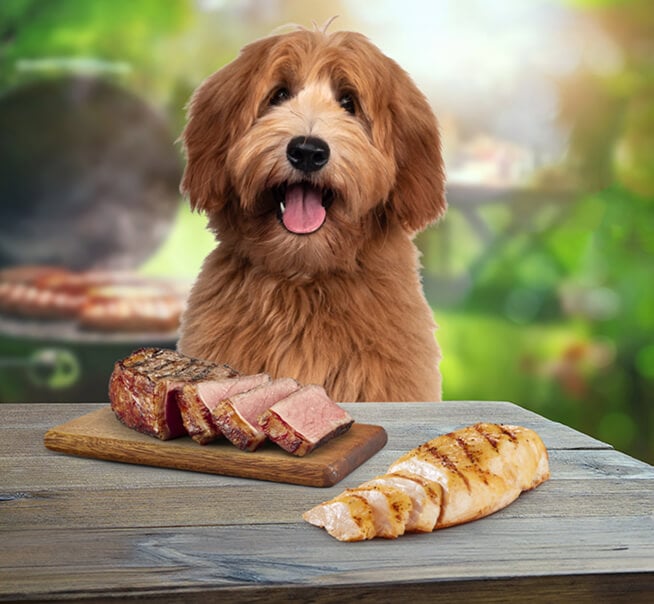 A brown dog with long fur sticks out its tongue, sitting behind three neatly arranged bags of Blue Buffalo dog treats and cuts of fresh meat featured in the treat recipes.