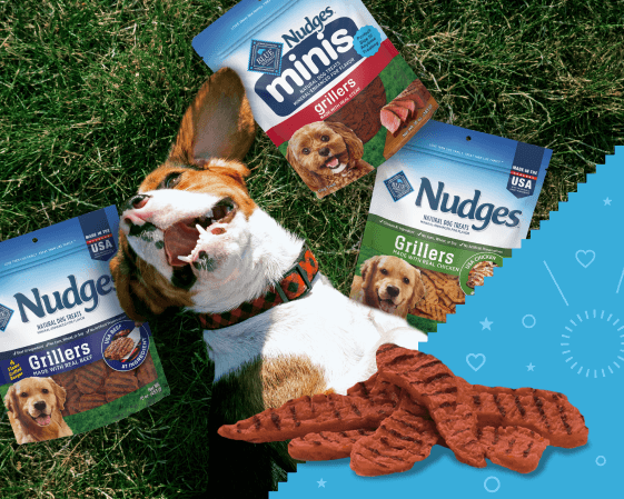 A dog is happily lying on their back on the grass and enjoying the sun. Packs of BLUE Nudges treats are all around them.