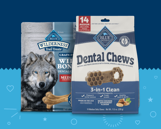 Two Blue Buffalo dog treat packages featuring Dental Chews and Wilderness Wild Bones dental chews.