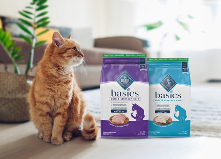 bags of blue basics cat dry food