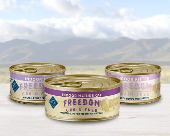 cans of blue freedom cat dry food