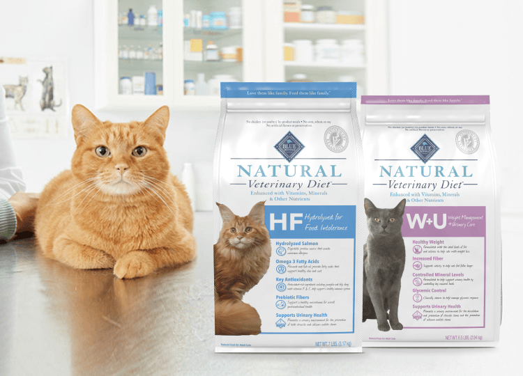 An orange cat sits on an exam table next to two bags of prescription cat food; a person is partially visible.