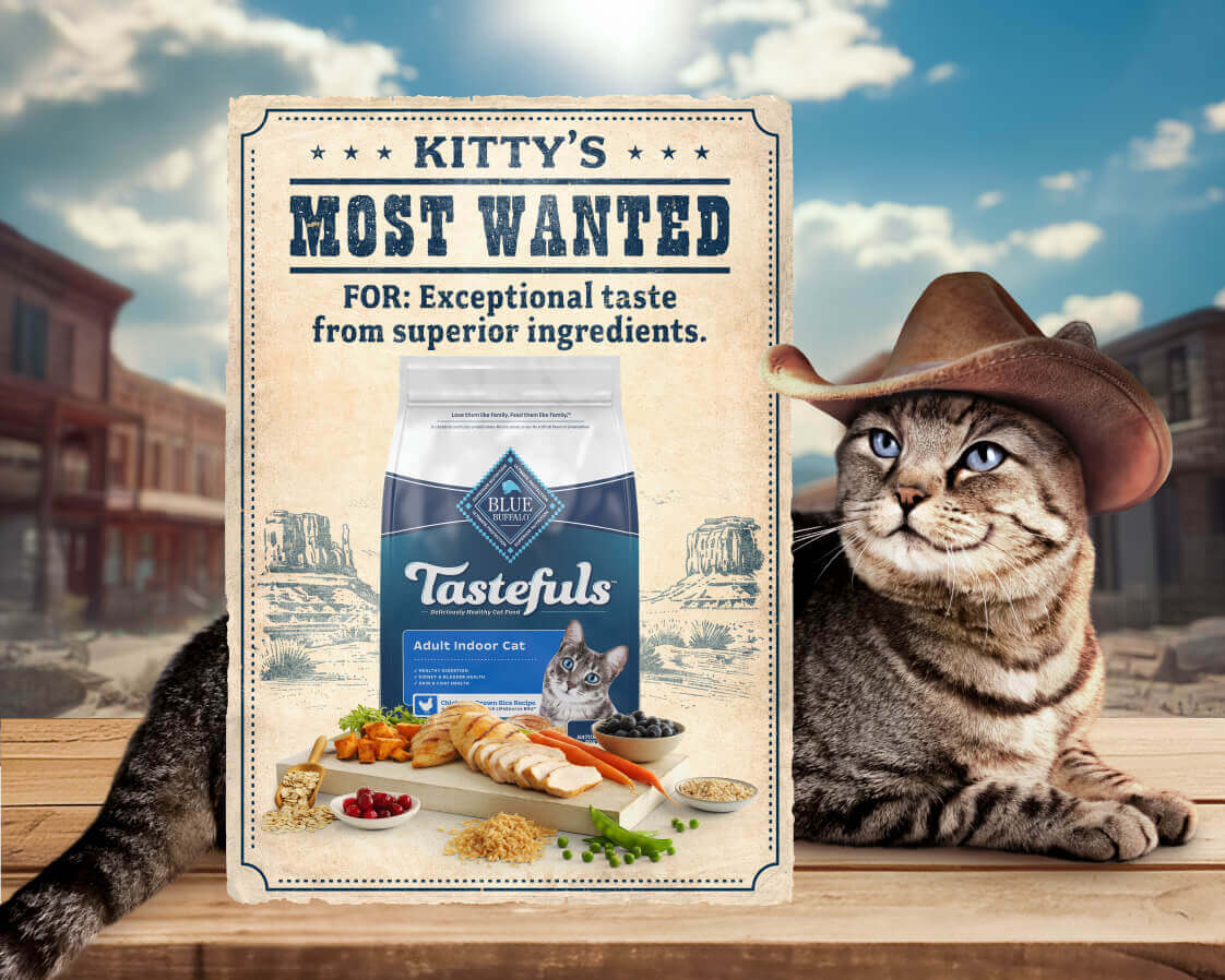 A multicolored cat in a cowboy hat lies behind a wanted poster for BLUE Tastefuls.