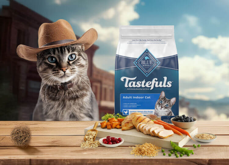 A multicolored cat in a cowboy hat stares directly ahead. In front of the cat is a bag of BLUE Tastefuls, fresh ingredients, and a small tumbleweed.