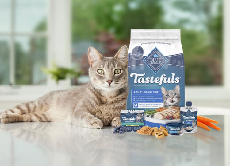 Cat lying next to Blue Buffalo Tastefuls adult indoor cat food products
