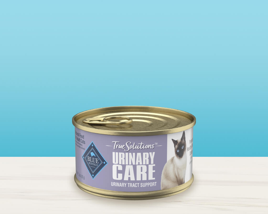 A can of Blue Buffalo True Solutions Urinary Care cat food, featuring a Siamese cat on the label 