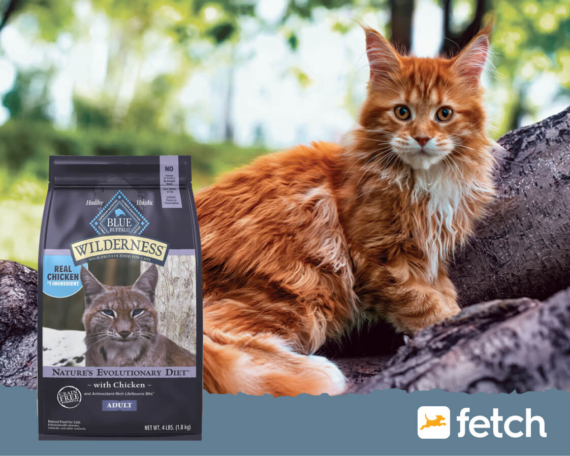 A long-haired orange cat sits on a log beside a bag of Wilderness cat food; fetch logo in corner.