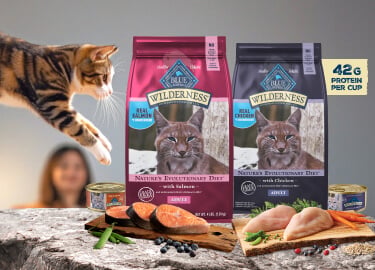 A lean, healthy cat makes an epic leap to the kitchen counter.