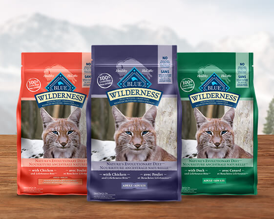 bags of dry cat food product image