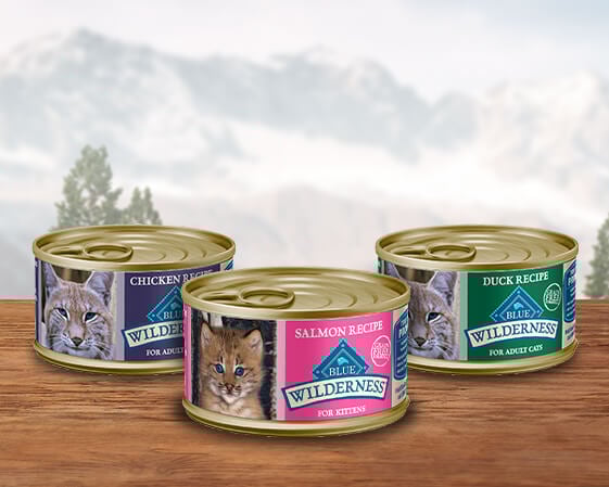 Three cans of Blue Wilderness cat food labeled chicken, salmon, and duck recipe are on a wooden surface.