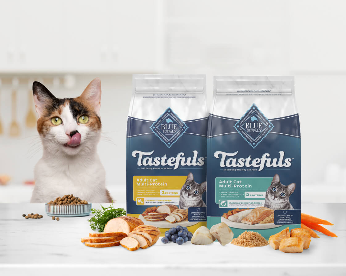 A cat enjoying various flavors of Blue Buffalo cat food surrounded by colorful Blue Buffalo Adult Multi-Protein Cat food bags emphasizing the variety available