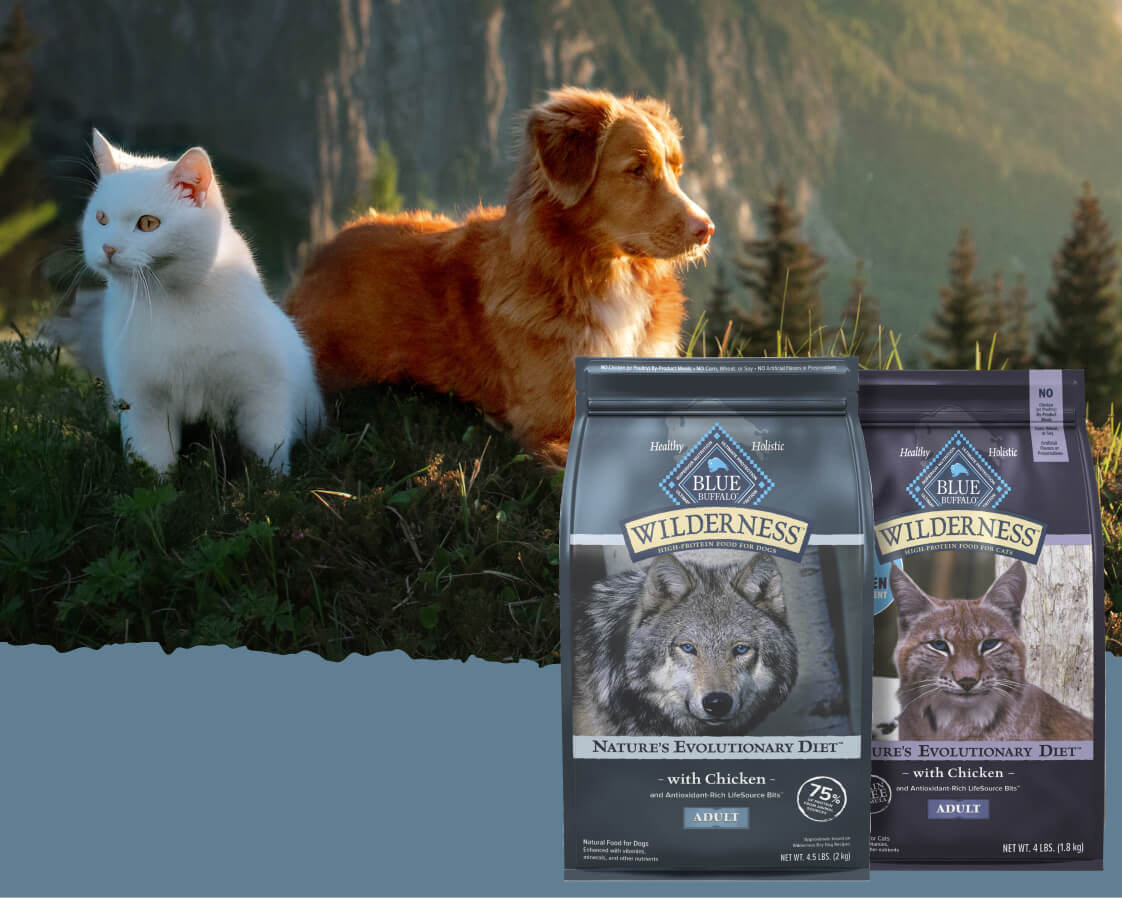 White cat & brown dog on grass before mountains; in front, Blue Buffalo Wilderness dog (wolf) & cat (lynx) food bags.