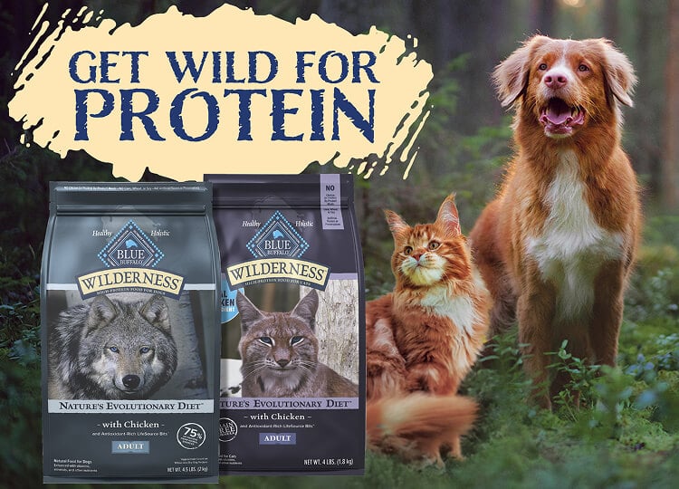 An orange tabby cat and a Nova Scotia Duck Tolling Retriever stand in a majestic forest with bags of BLUE Wilderness cat and dog food superimposed beside them.