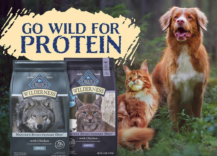 An orange tabby cat and a Nova Scotia Duck Tolling Retriever stand in a majestic forest with bags of BLUE Wilderness cat and dog food superimposed beside them.