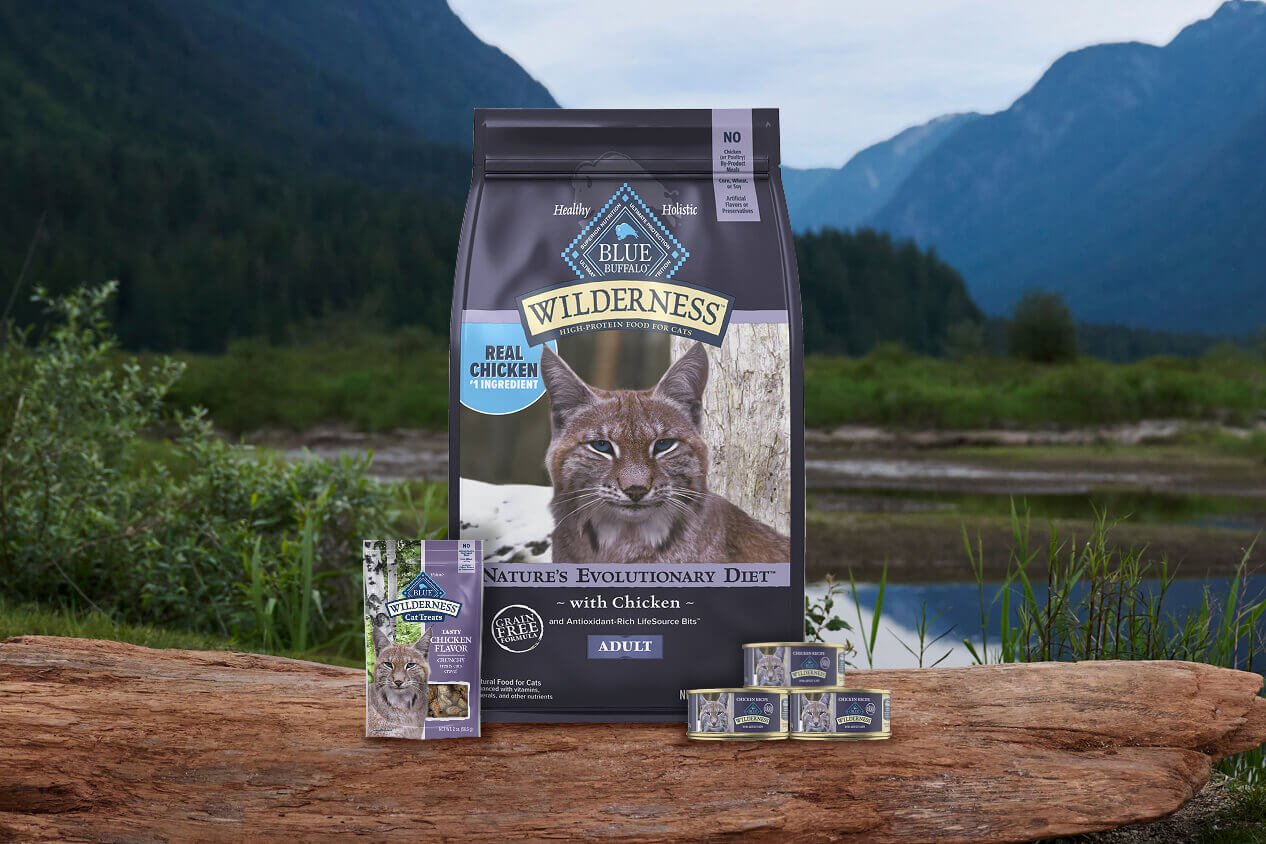 Bags and cans of cat foods and treats sit on a rock with a beautiful landscape in the background.