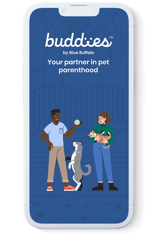Buddies Highlights