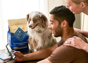 image of a man and woman with pets at computer