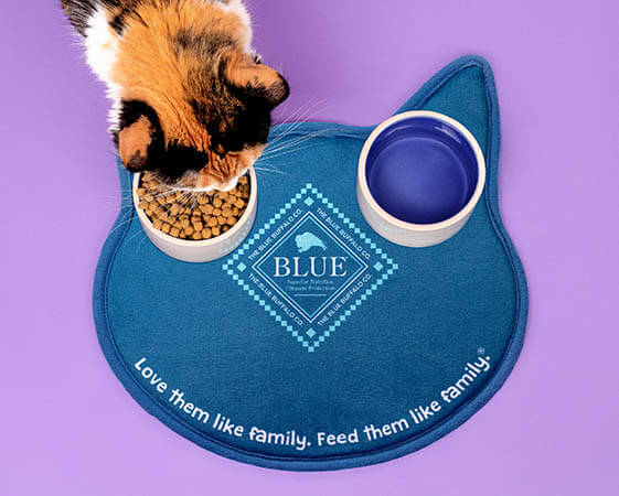 image of cat eating from a bowl