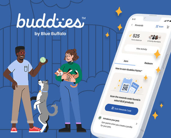 poster image for video explaining buddies mobile app