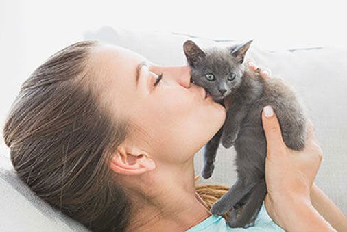 How to Take Care of Kittens