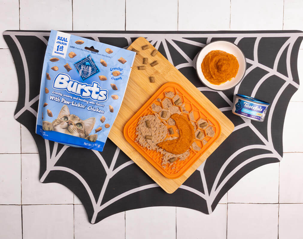 The recipe on a spider web placemat w/a lick mat, a half moon-shaped bowl, a spatula, & a bowl of Tastefuls cat food