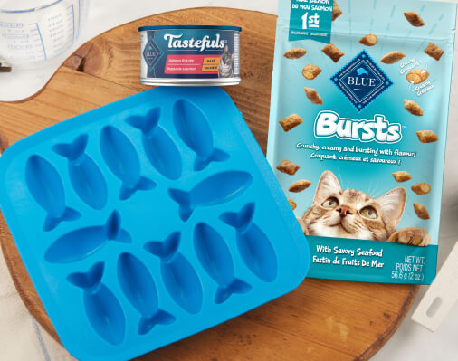 Packaging and mold for Blue Buffalo Bursts cat treats with a seafood flavor, beside a can of Tastefuls cat food, displayed on a kitchen counter.