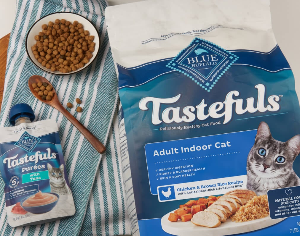 Blue Buffalo cat food featuring a Chicken & Seafood Soufflé recipe using Blue Buffalo Cat food