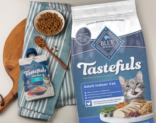 Pamper Your Cat with a Chicken and Seafood Soufflé