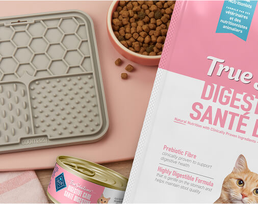 An Interactive Snack Just for Sensitive Cats