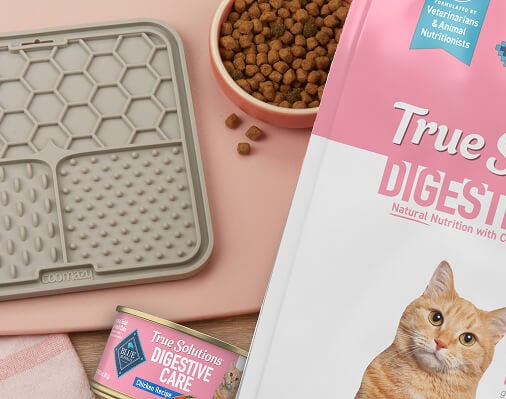 An Interactive Snack Just for Sensitive Cats