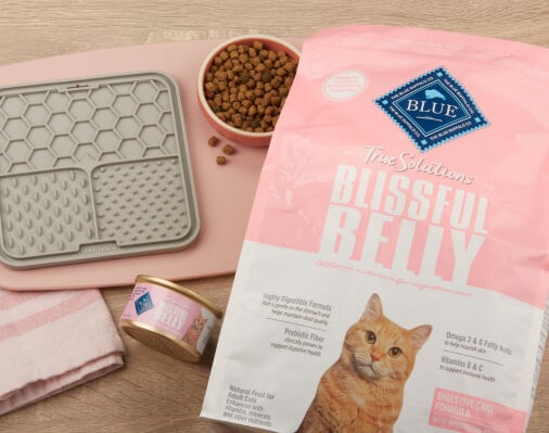 A bag of Blue Buffalo Blissful Belly cat food beside a bowl, mat, can, and towel on a wooden surface.