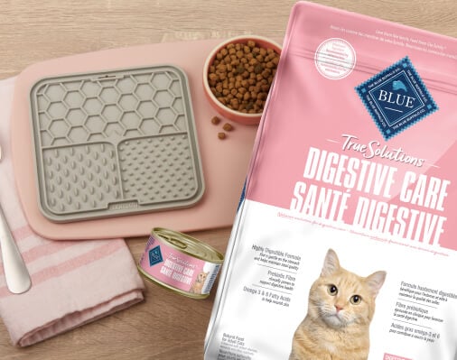 Blue Buffalo cat food featuring a Cat-Friendly Sensitive Snacktime recipe with Blissful Belly cat food