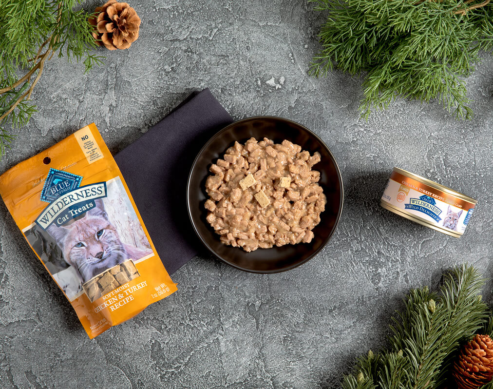 Make Your Cat a Protein Power Bowl