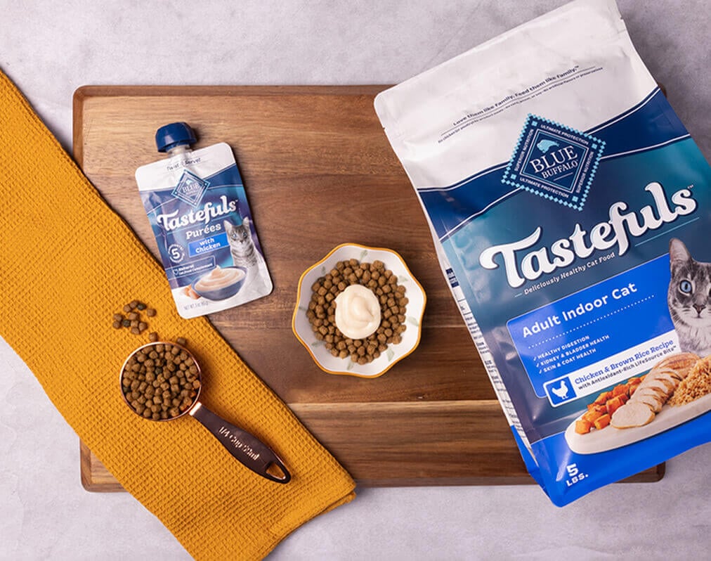 Your Cat Will Purr for This Chicken & Gravy Meal