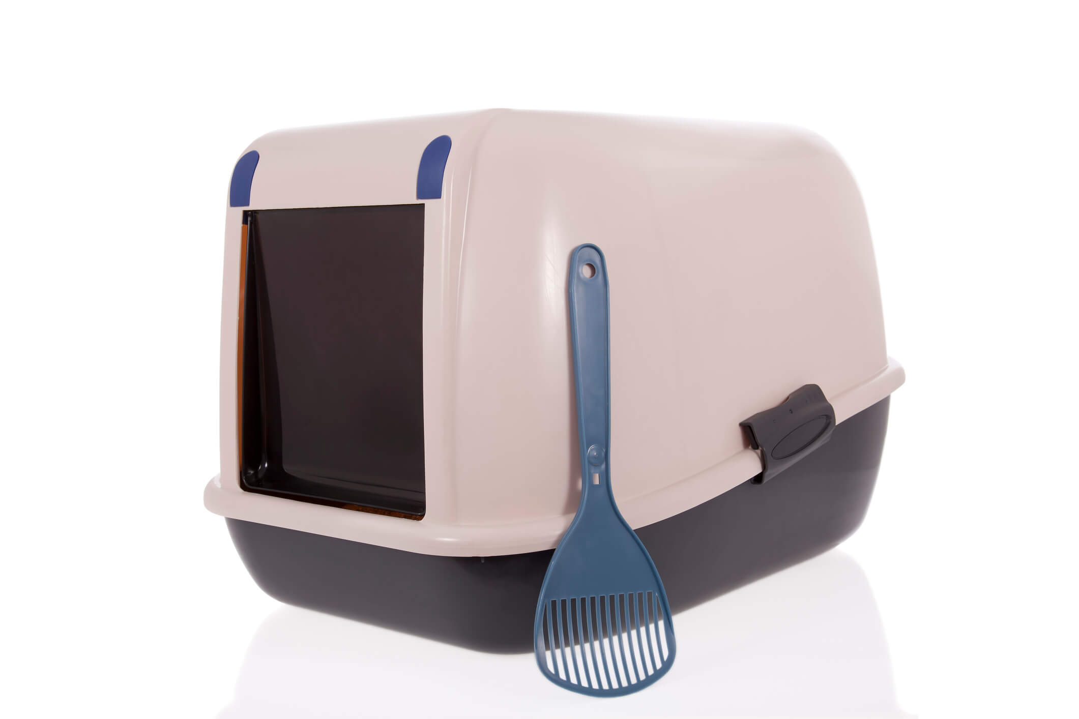 Think Inside the Box