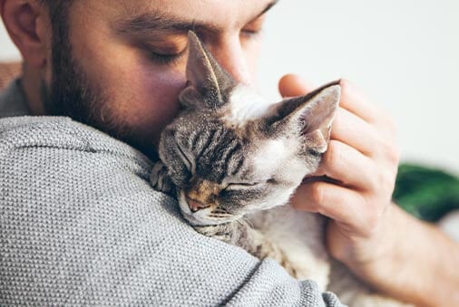 Image of a cat purring